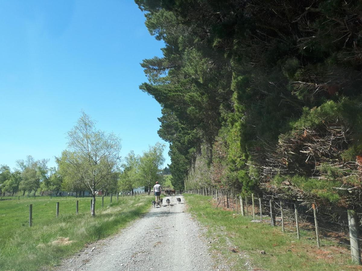 Te Anau Farm Cottage Εξωτερικό φωτογραφία